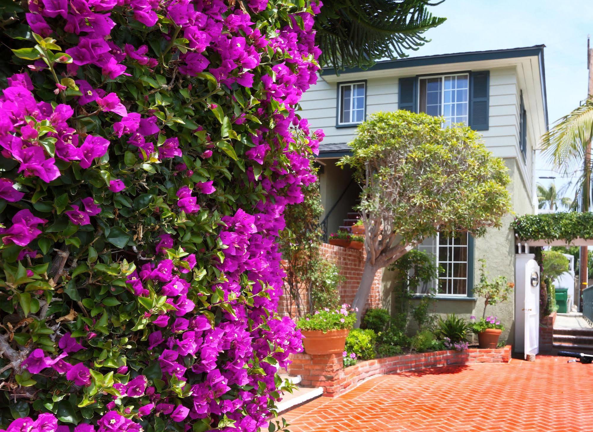 Hotel Joaquin (Adults Only) Laguna Beach Exterior foto